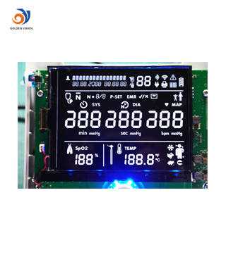 Display LCD monocromatico